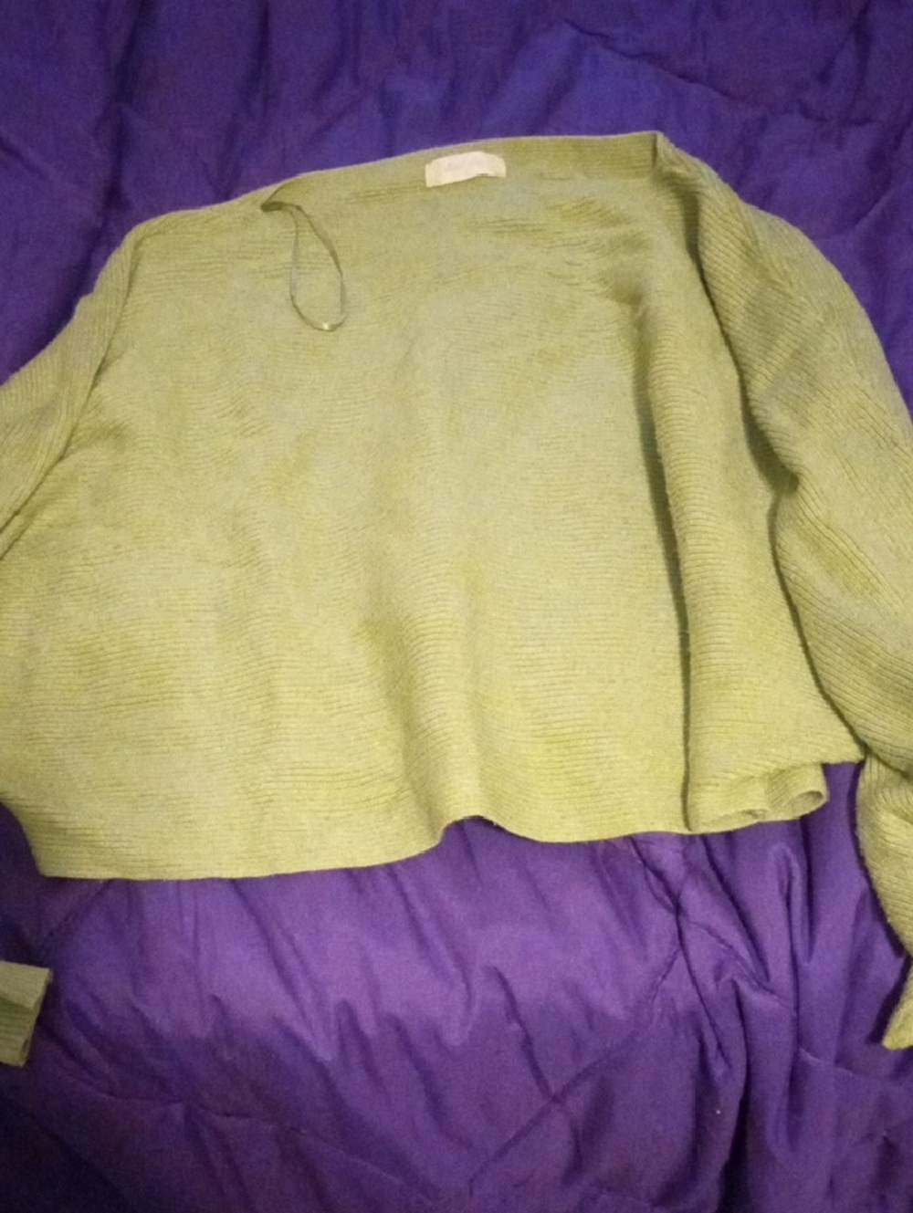 Altar'd State Light Green Crewneck Knit Sweater